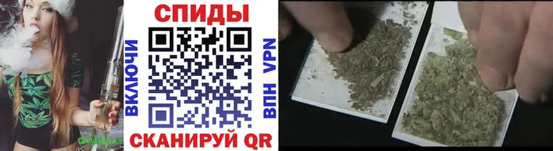 мориарти официальный сайт Тетюши Бутират Butirat