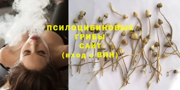 каннабис Медвежьегорск