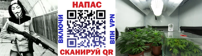 Шишки марихуана семена  Тетюши 